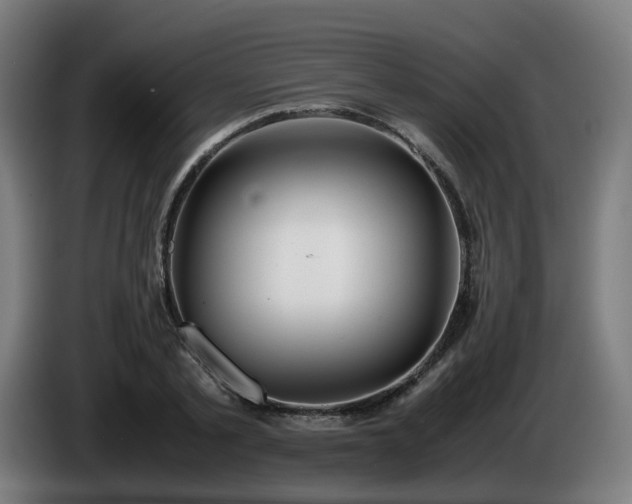 X0000086010789200703301009