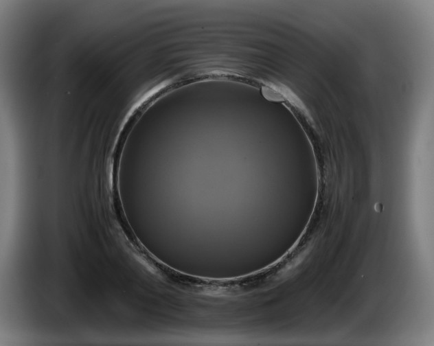 X0000086010790200703301009