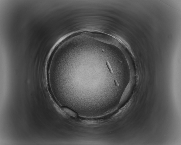 X0000086010792200703301009