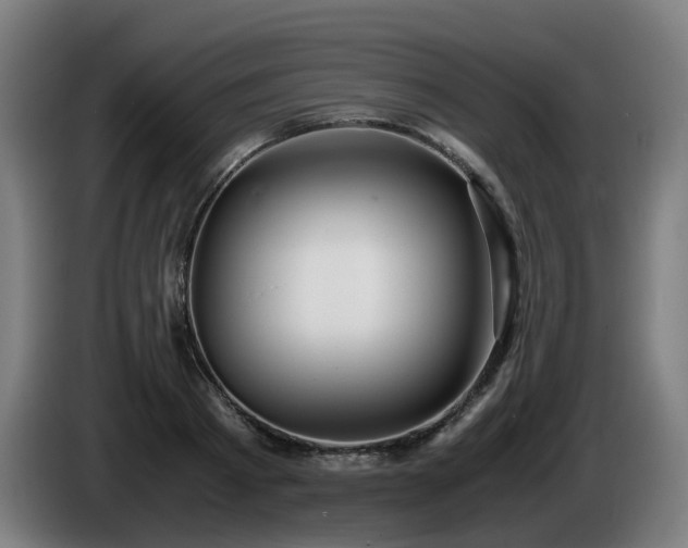 X0000086010793200703301009