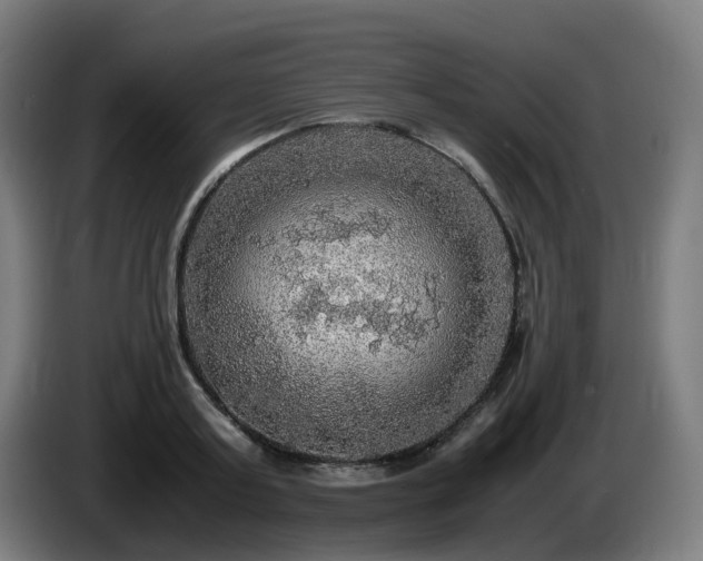X0000086010795200703301009