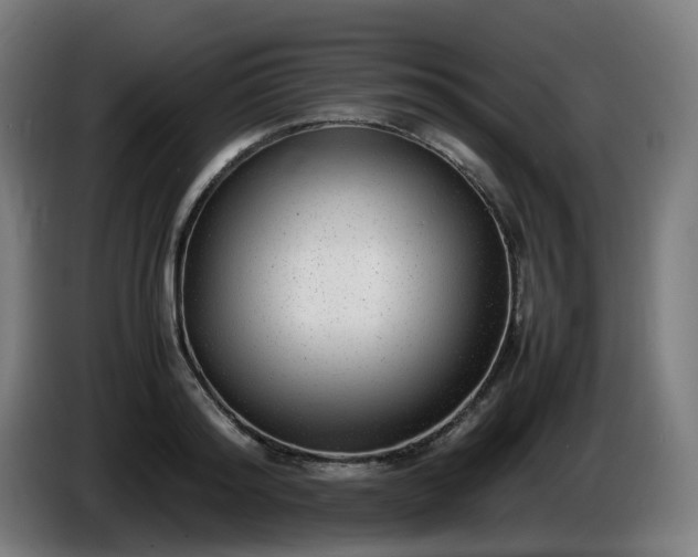 X0000086010796200703301009