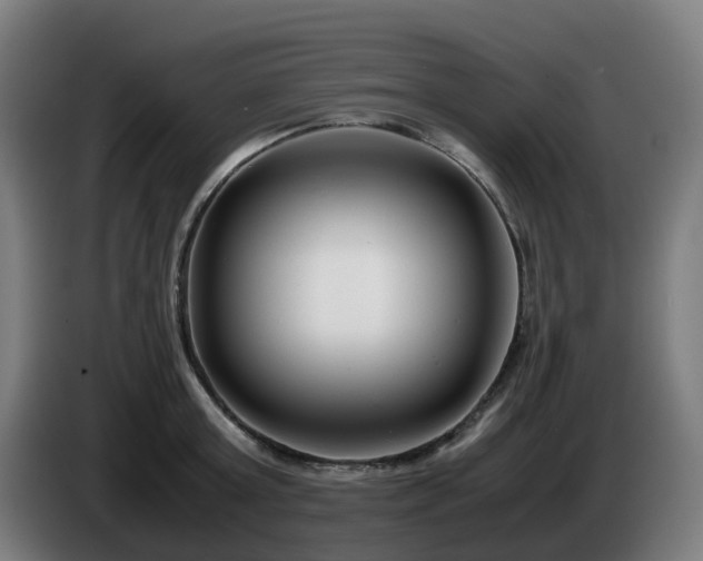 X0000086010803200703301009