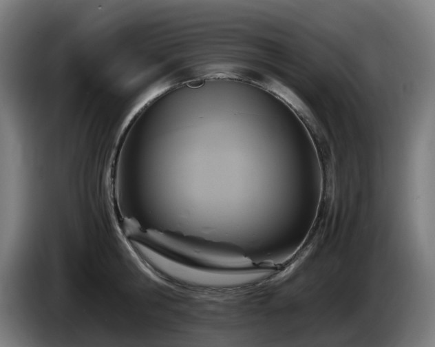X0000086010806200703301009