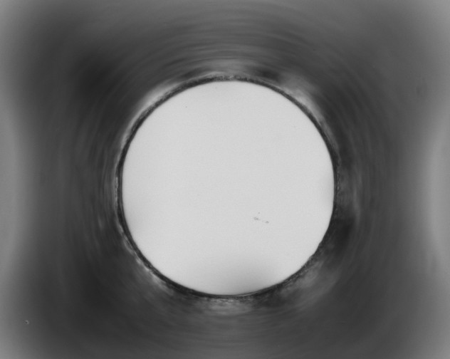 X0000086010807200703301009
