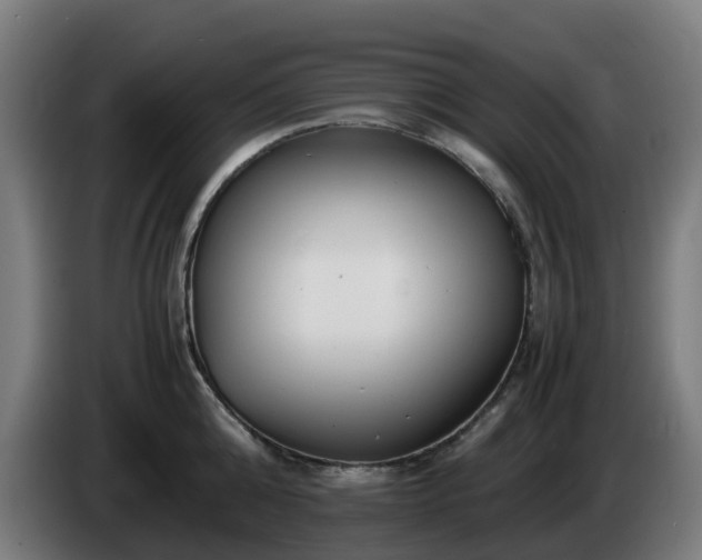 X0000086010808200703301009