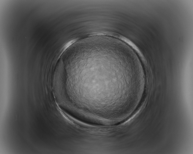 X0000086010809200703301009