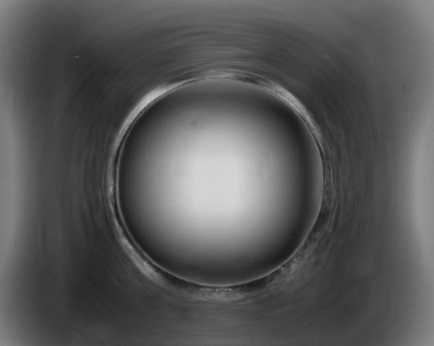 X0000086010811200703301009