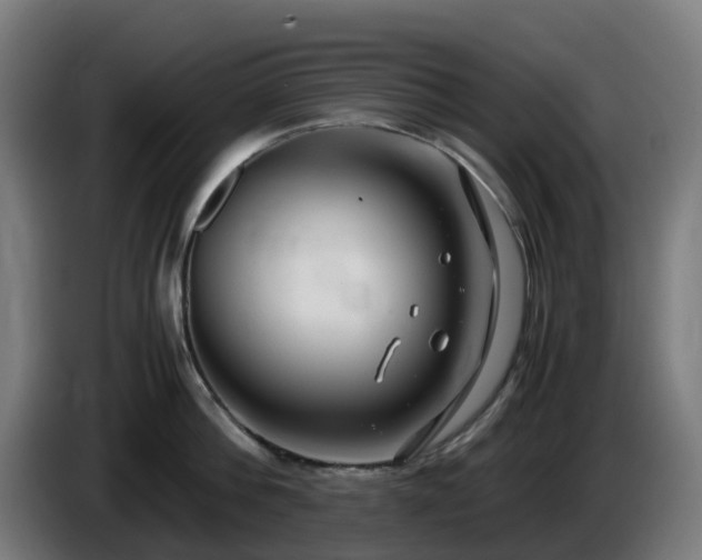 X0000086010812200703301009