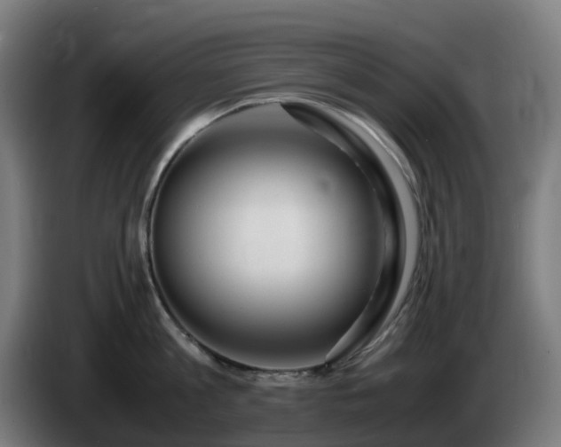 X0000086010813200703301009