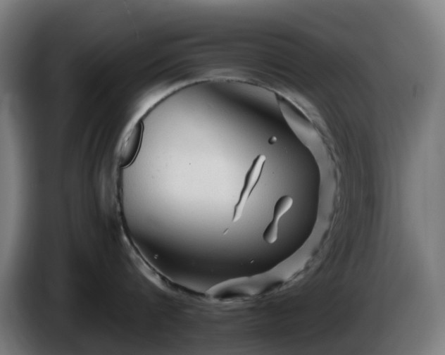 X0000086010816200703301009
