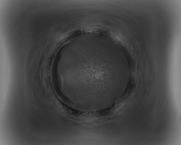 X0000086010817200703301008