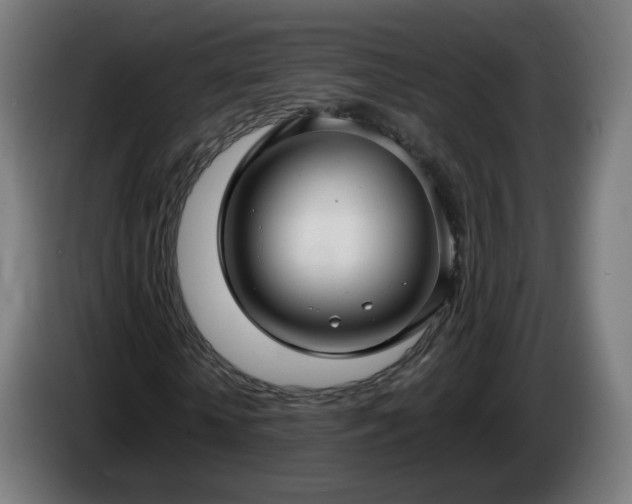 X0000086010818200703301008