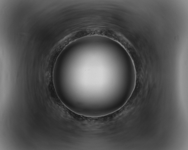 X0000086010821200703301008
