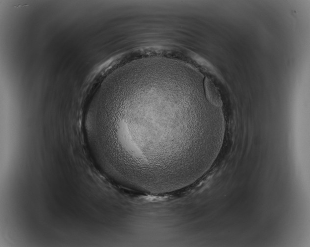 X0000086010822200703301008