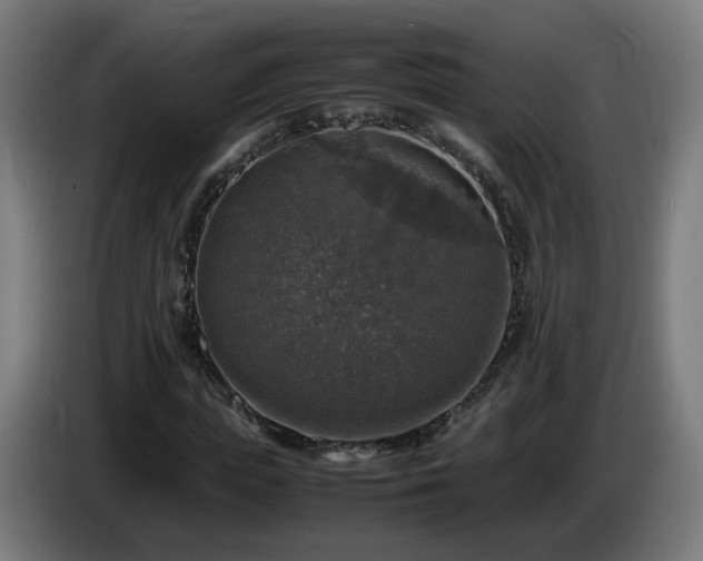 X0000086010823200703301008