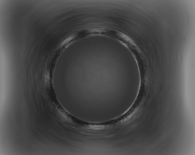 X0000086010825200703301008