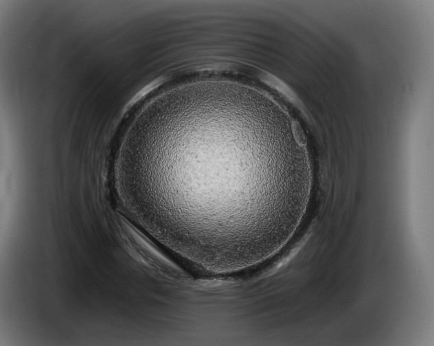 X0000086010826200703301008