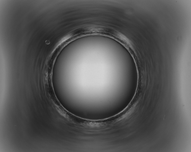 X0000086010827200703301008