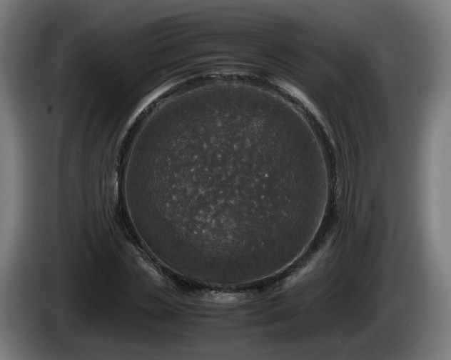 X0000086010829200703301008