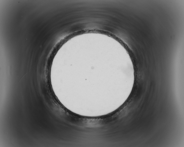 X0000086010832200703301008
