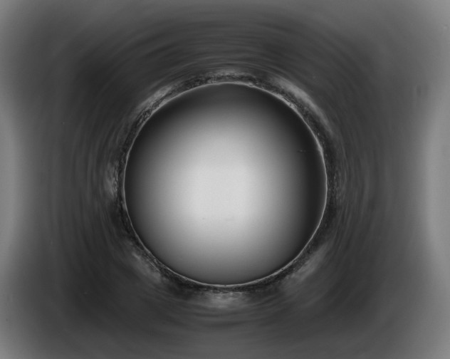 X0000086010833200703301008