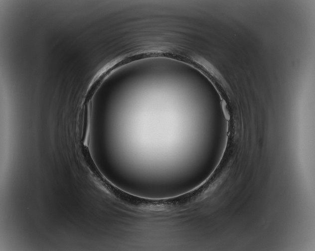 X0000086010834200703301008