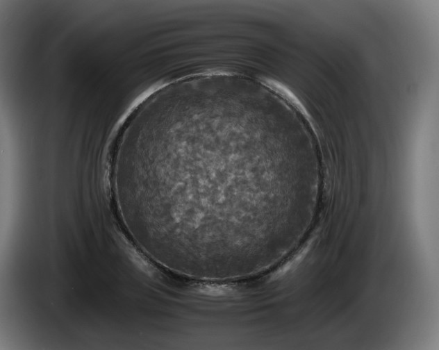 X0000086010835200703301008