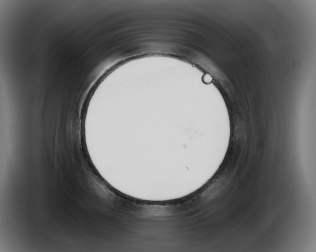 X0000086010836200703301008