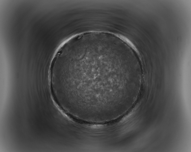 X0000086010839200703301008