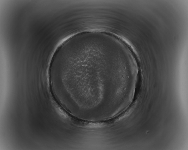 X0000086010840200703301008