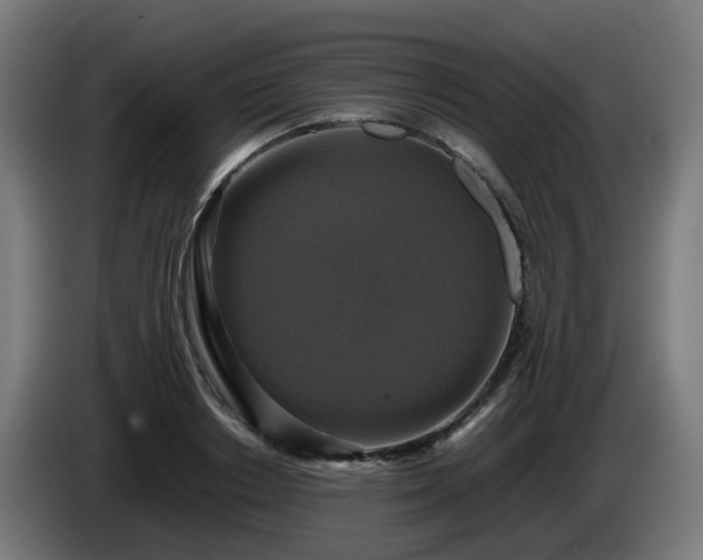 X0000086010842200703301008