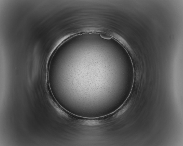 X0000086010844200703301008