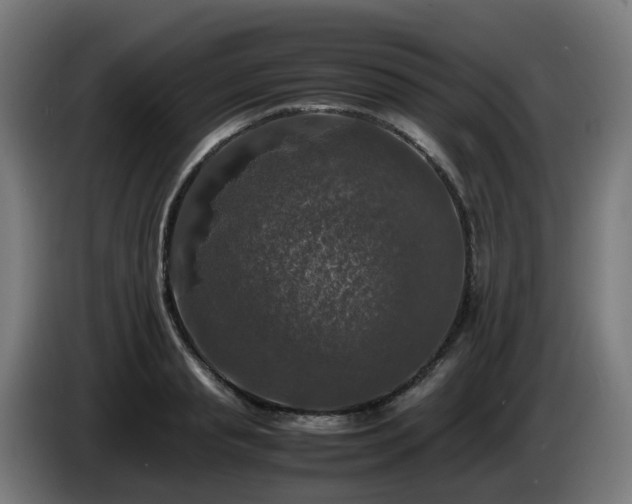 X0000086010845200703301008