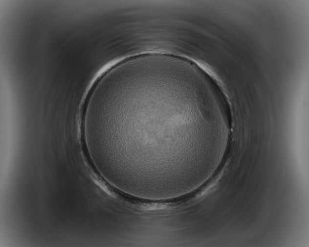 X0000086010846200703301008