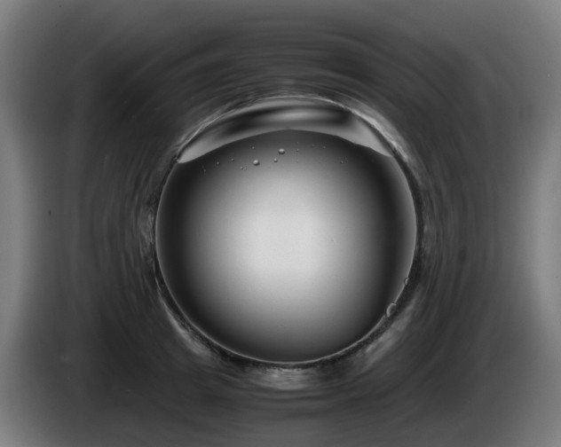 X0000086010849200703301008