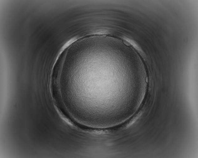 X0000086010850200703301008