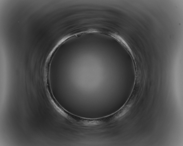 X0000086010851200703301008