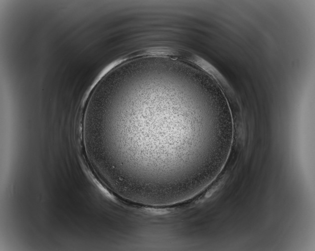 X0000086010852200703301008