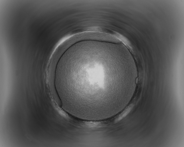 X0000086010854200703301008