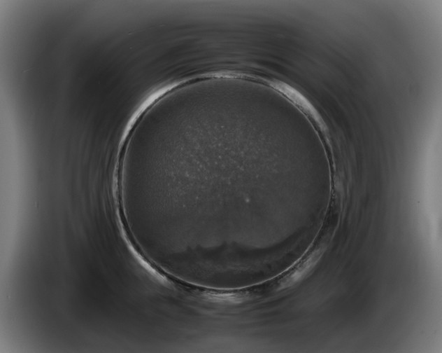 X0000086010855200703301009