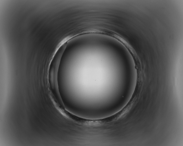 X0000086010858200703301009