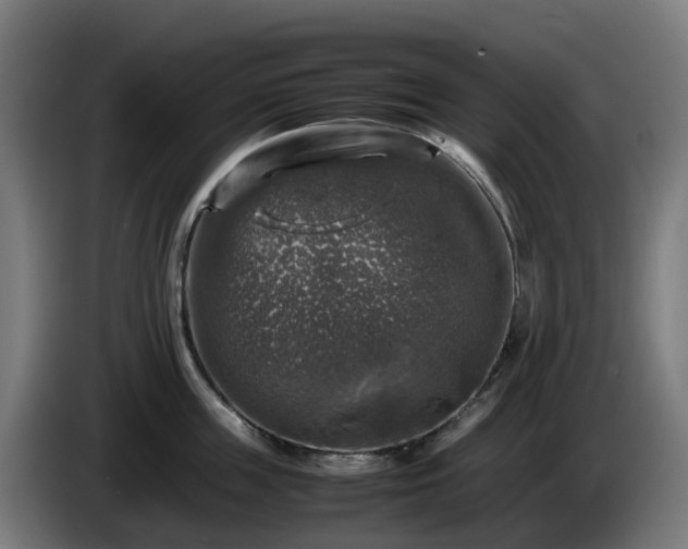 X0000086010859200703301009