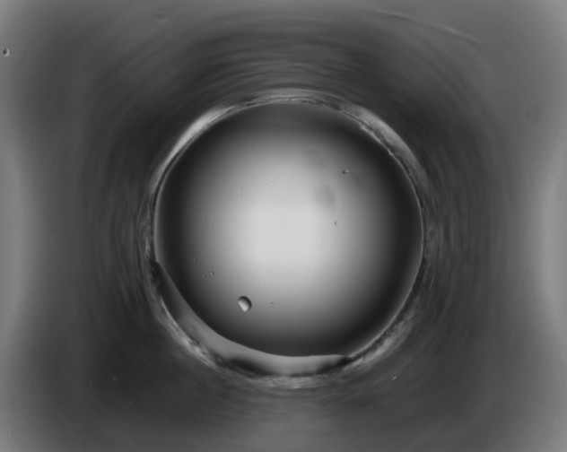 X0000086010860200703301009