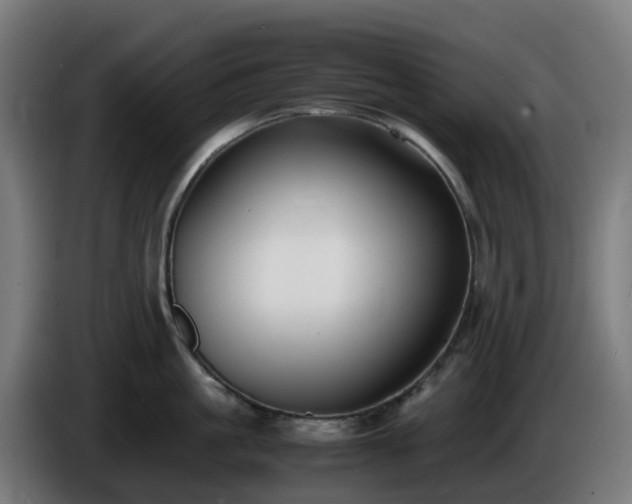 X0000086010861200703301009