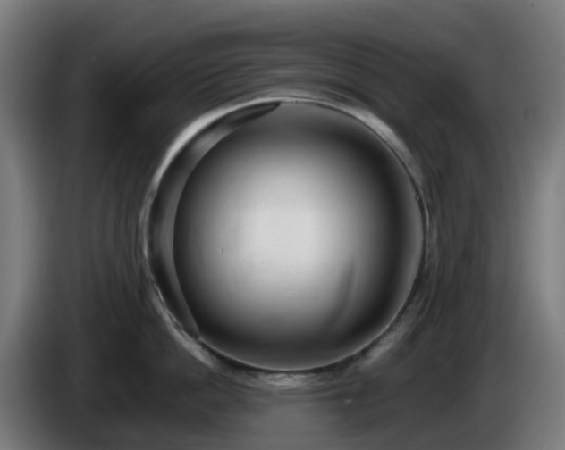 X0000086010862200703301009