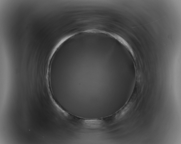 X0000086010863200703301009