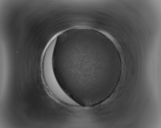 X0000086010864200703301009