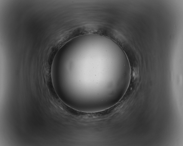 X0000086010867200703301008