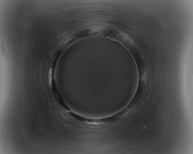 X0000086010868200703301008